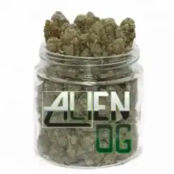 Alien OG