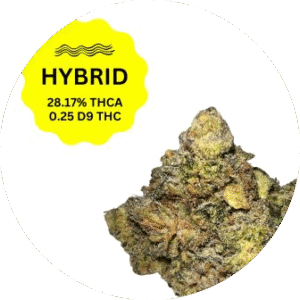 Flowers-Hybrid